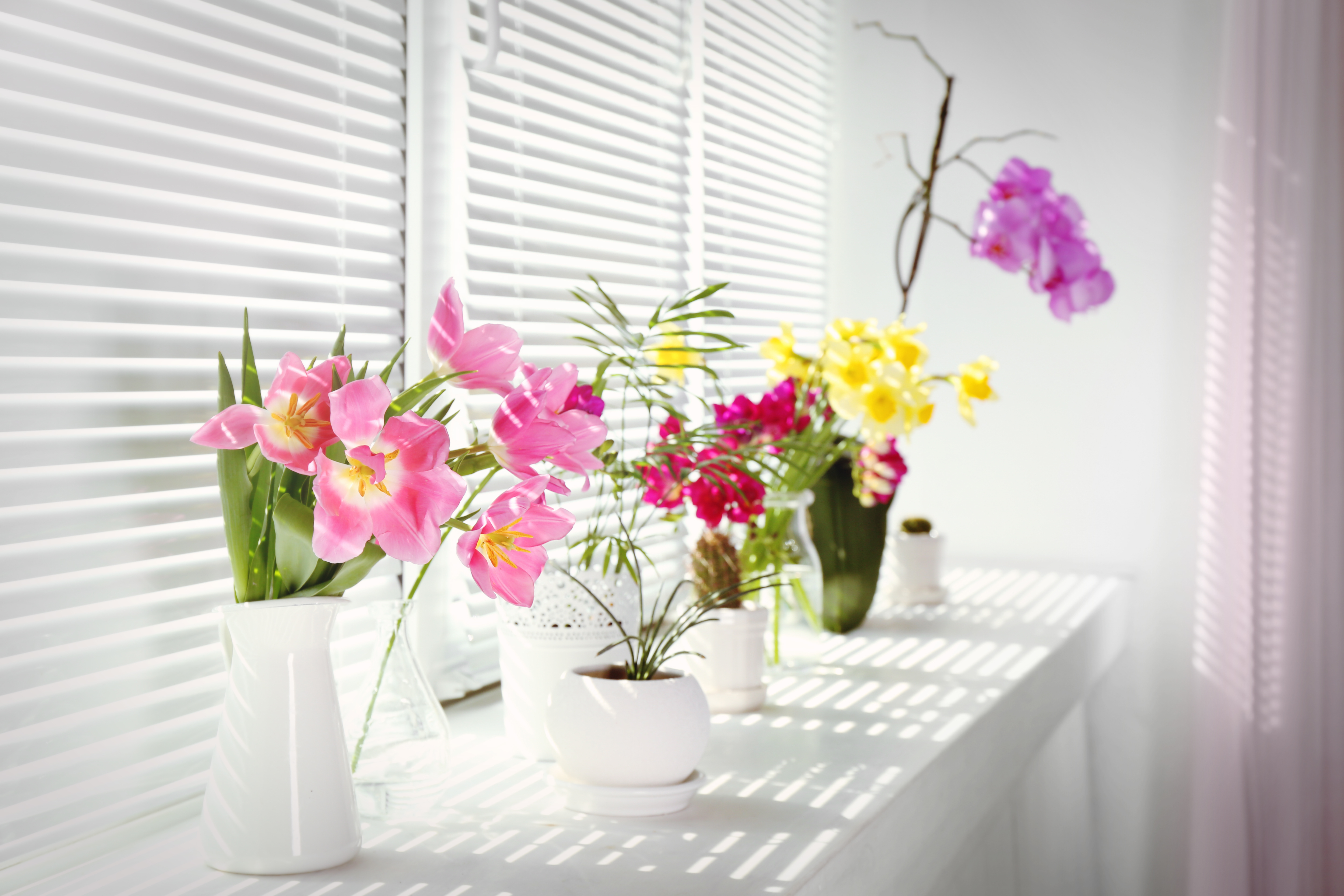 Tips to freshen and deodorize your home